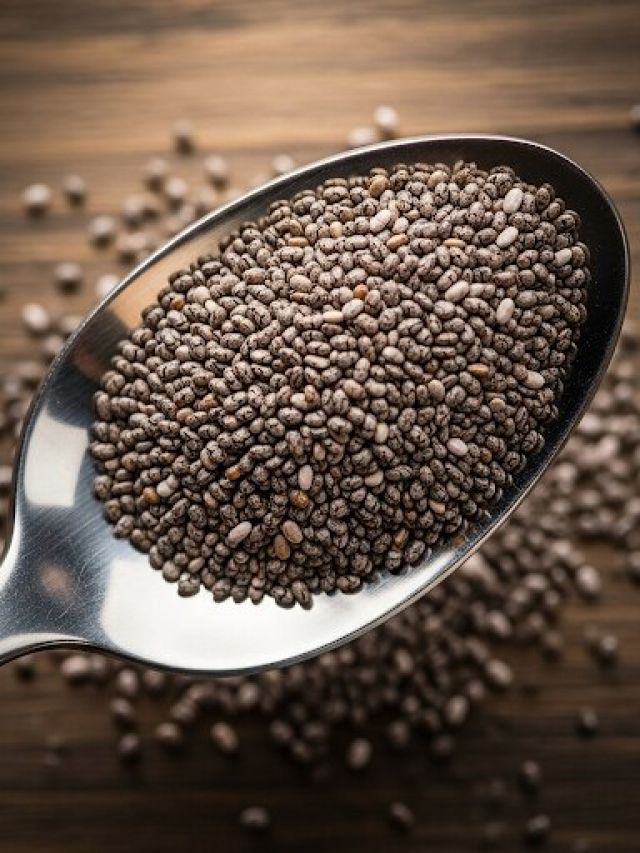 पानी या दही...अधिक फायदे  के लिए चिया सीड्स को किसमें भिगाोना सही?