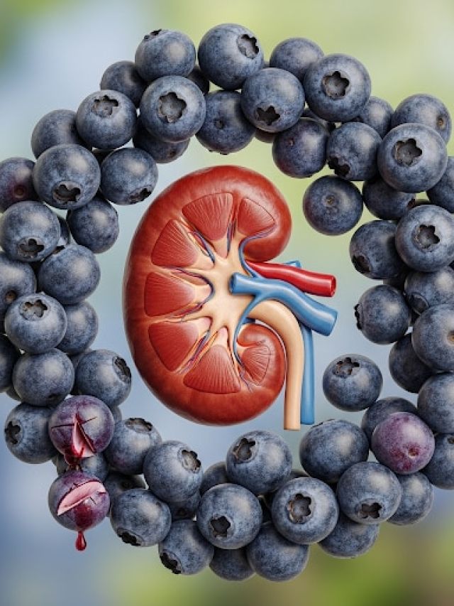 किडनी की बीमारियों से रहना है दूर? रोज खाइए यह ब्लू फल, मिलेंगे जबरदस्त फायदे