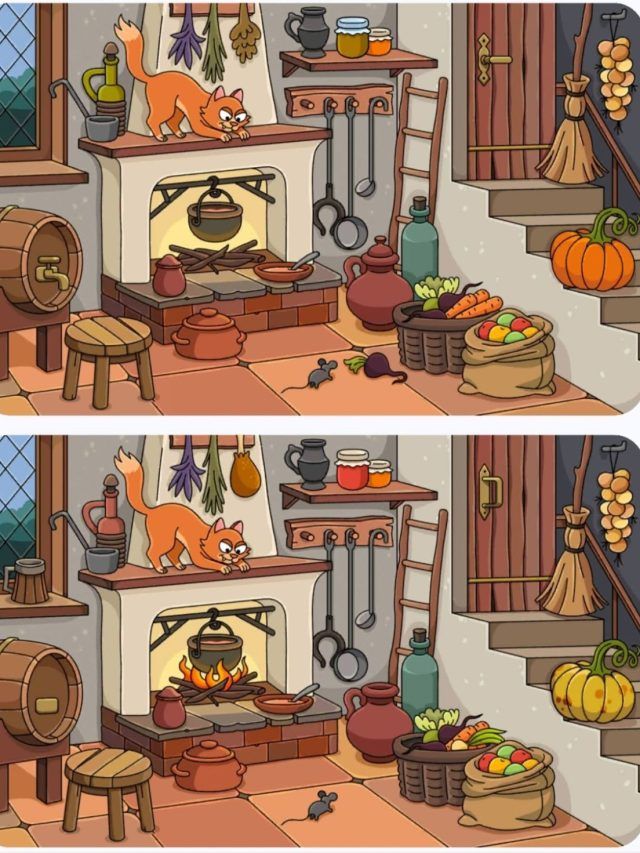 पेंटर ने तस्वीर में कर दी हैं 5 गलतियां, 10 सेकंड का चैलेंज