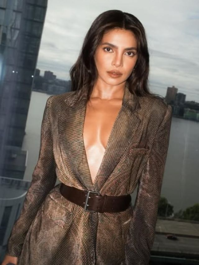 सीक्रेट अफेयर के बाद छोड़ना पड़ा बॉलीवुड, क्यों चुप रहीं प्रियंका? डायरेक्टर ने खोले राज