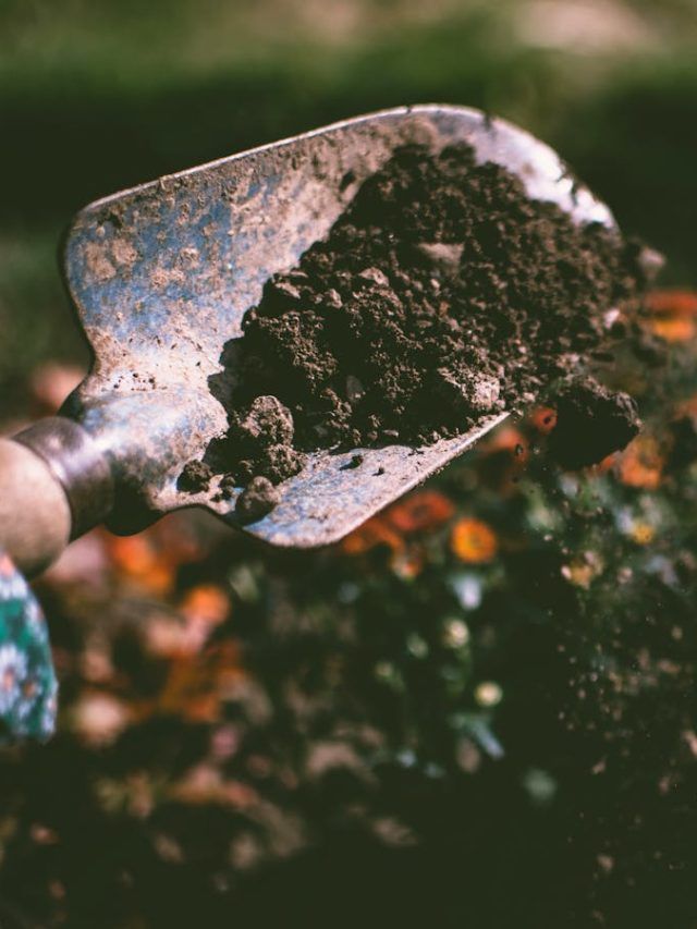 सरकारी कार्ड, जिसकी मदद से मिट्टी को सोना बना सकते हैं किसान!