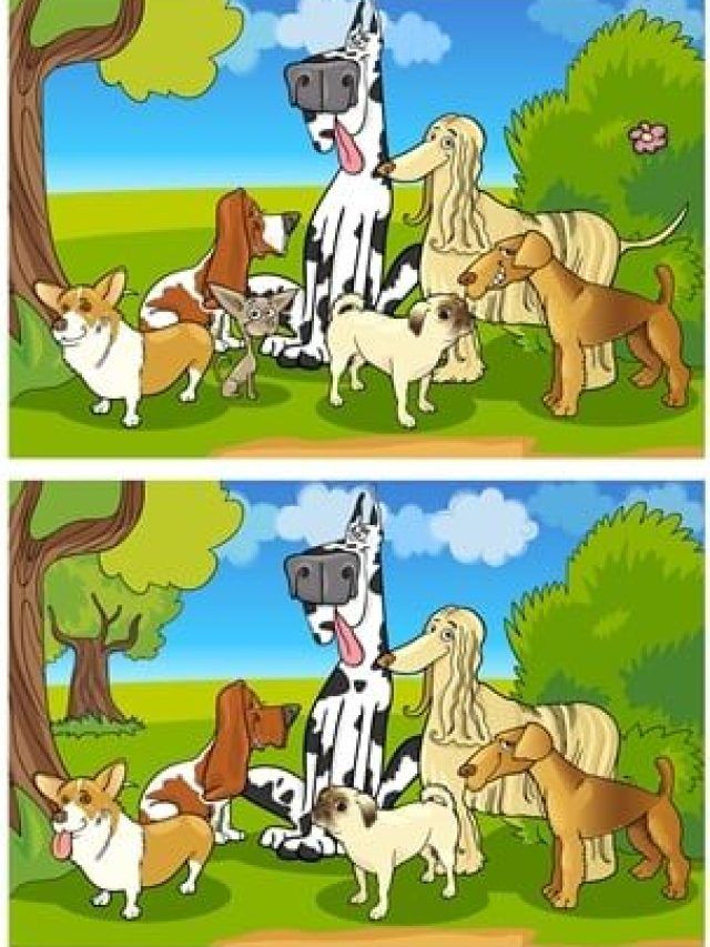 पेंटर ने तस्वीर में कर दी हैं 7 गलतियां, 10 सेकंड में खोजने का चैलेंज