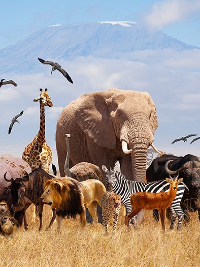 8 Creatures You Never Knew Were Saving the World, One Day at a Time