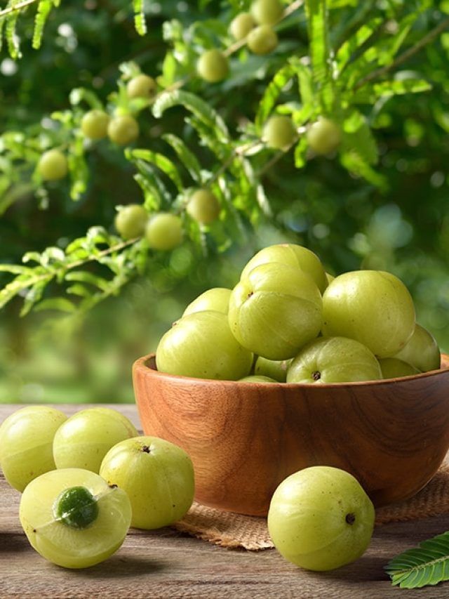 Forget blueberries: Why amla is the better, cheaper superfruit for immunity and heart health