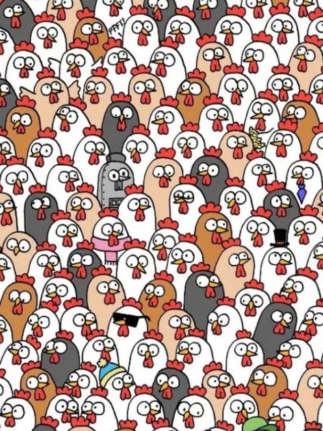 तस्वीर में छिपे Owl को खोज पाएंगे आप, 10 सेकंड का चैलेंज