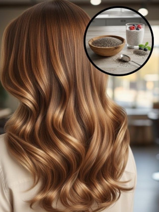 महंगे प्रोडक्ट छोड़िए! झड़ते बालों का रामबाण इलाज हैं चिया सीड्स, इस तरह से करें इस्तेमाल