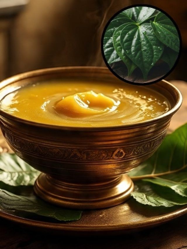 देसी घी बनाते समय क्यों डालते हैं पान का पत्ता? वजह जान तुरंत आजमाएंगे ये देसी नुस्खा