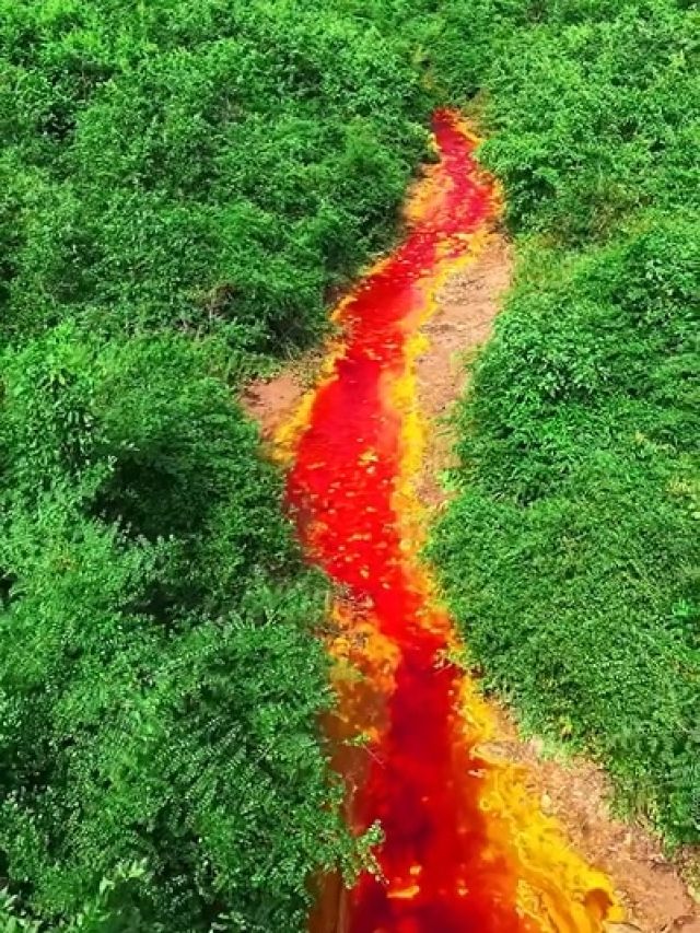 बिहार की ये 'खूनी' नदी देखी? पानी देख लगेगा, जैसे खून बह रहा है!