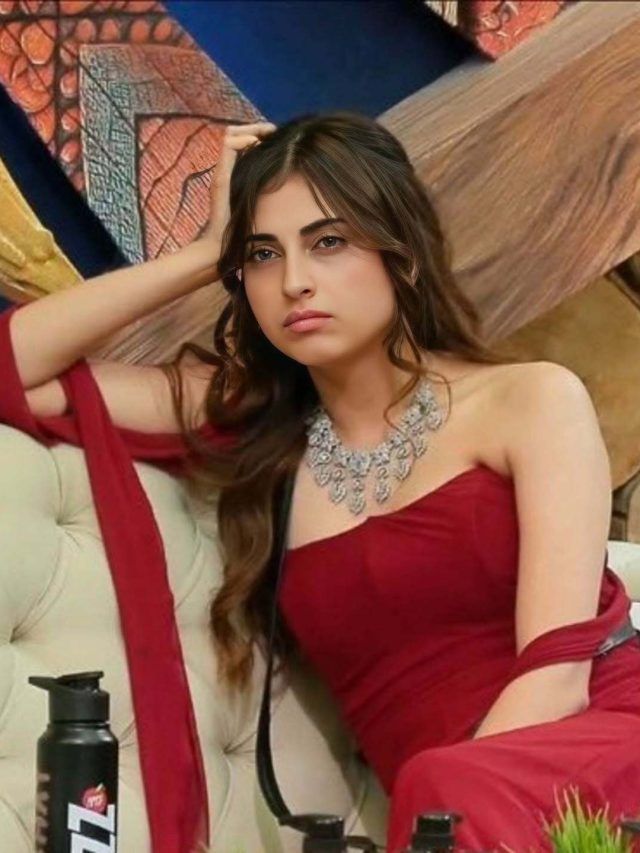 कश्मीर की फरहाना को बताया आतंकवादी, ट्रोल हुईं अमाल की बुआ, कहा- वो शैतान...