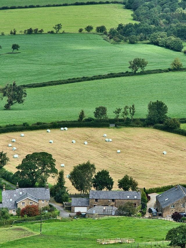 नवंबर में सब्जी उगाने वाले किसान इन बातों का रखें ध्यान, बढ़िया होगी पैदावार