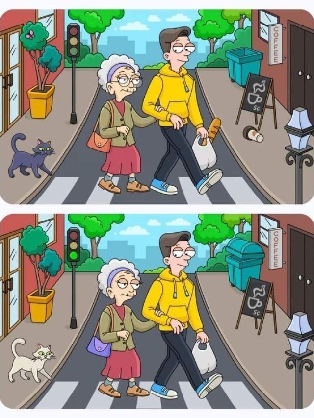 तस्वीर में पेंटर ने कर दी हैं 6 गलतियां, क्या 10 सेकंड में ढूंढ पाएंगे