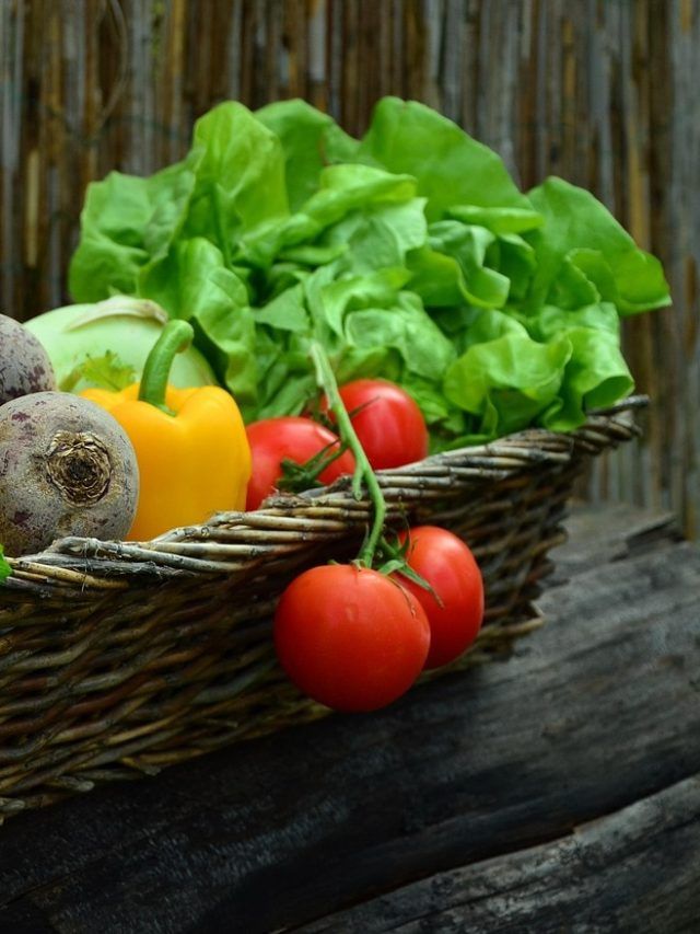 सर्दियों में घर पर उगाएं ये सब्ज़ियां, पूरे मौसम मिलेगा ताज़ा और सेहतमंद खाना