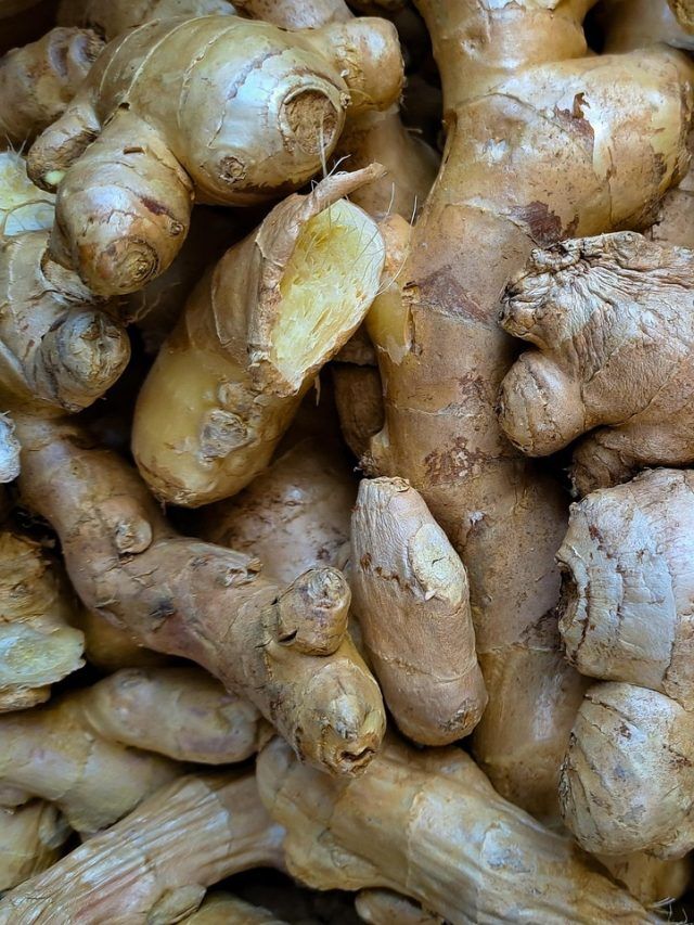 आसानी से उग जाता है अदरक, बस फॉलो करें ये स्टेप, खूब होगी बचत