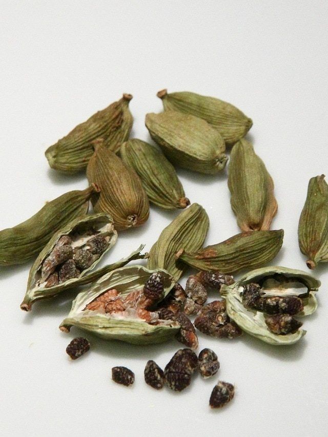 घर की बालकनी में इलायची उगाना है आसान, बस फॉलो करें ये प्रोसेस