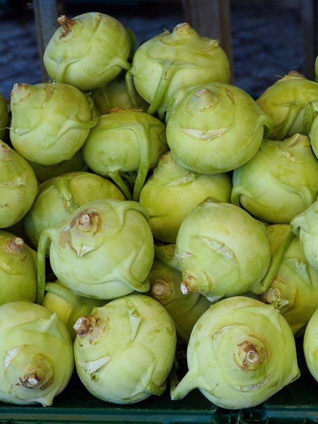 अक्टूबर में करें गांठ गोभी की खेती, होगी तगड़ी कमाई! जानें तरीका