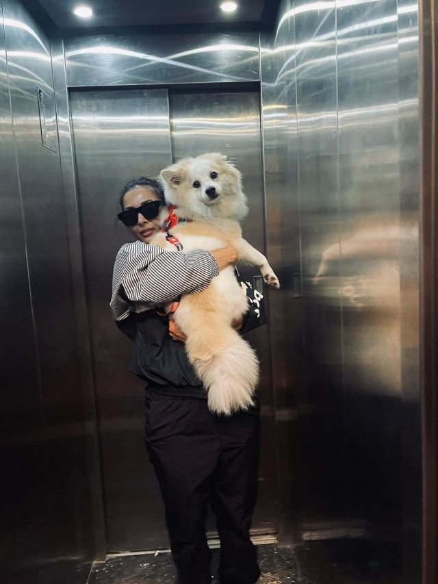 'सास' बनेंगी मलाइका, TV पर मिली 'बहू', मजेदार है वीड‍ियो, सिद्धू की छूटी हंसी