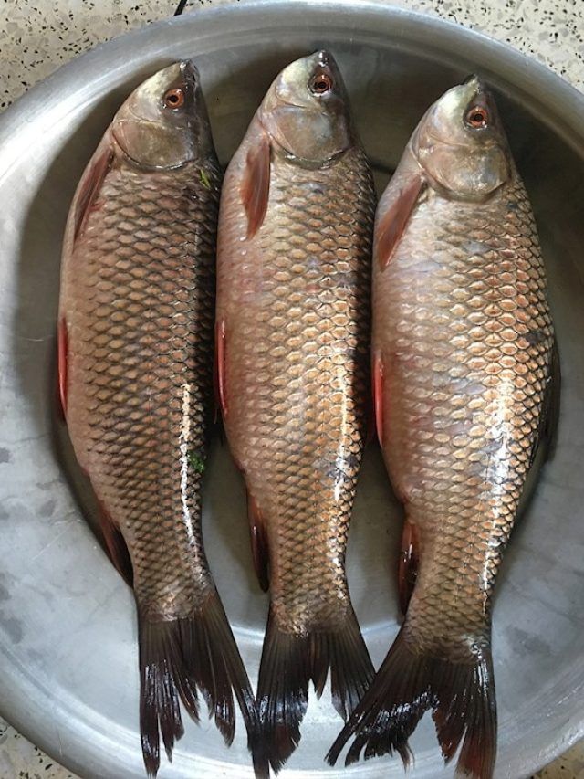 ১ কেজি রুই মাছে কতগুলো পিস হয়? জানালেন মাছওয়ালা