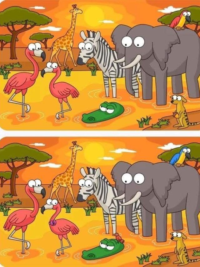 तस्वीर में हैं 6 गलतियां, 10 सेकंड में खोजने का चैलेंज