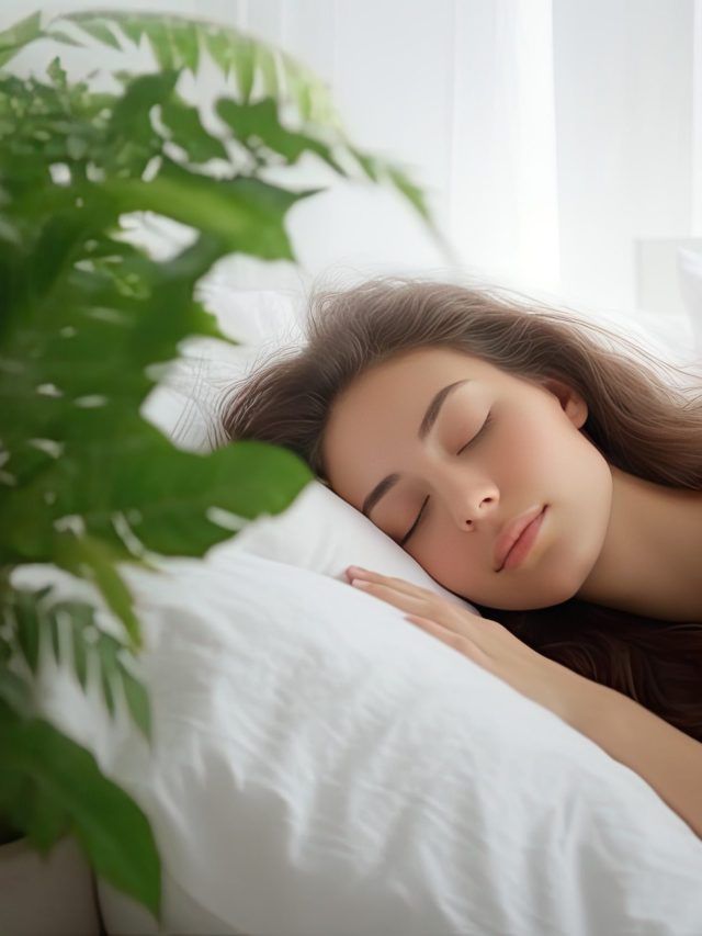 This plant list is going viral for one reason: people say they’re finally sleeping
