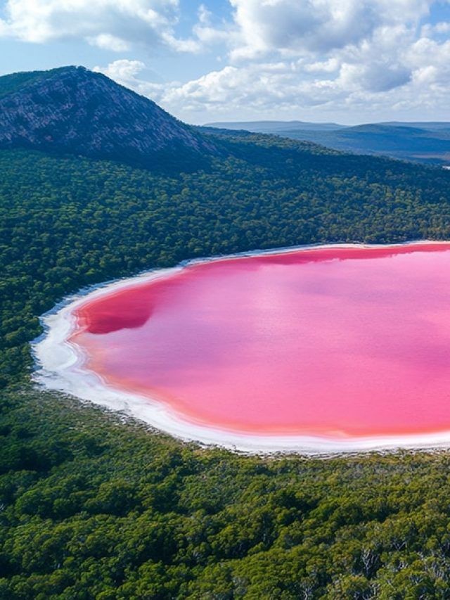 Australia’s Cotton-Candy Lake Is Changing Colour, and Scientists Are Worried