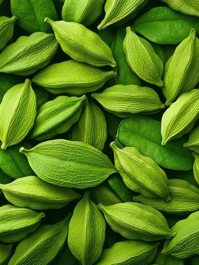 Cardamom’s comeback: The fragrant secret your digestive system’s been craving