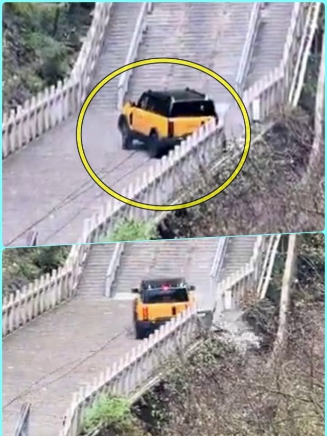 Land Rover की नकल चीनी कंपनी को पड़ी भारी! पहाड़ से गिरी कार