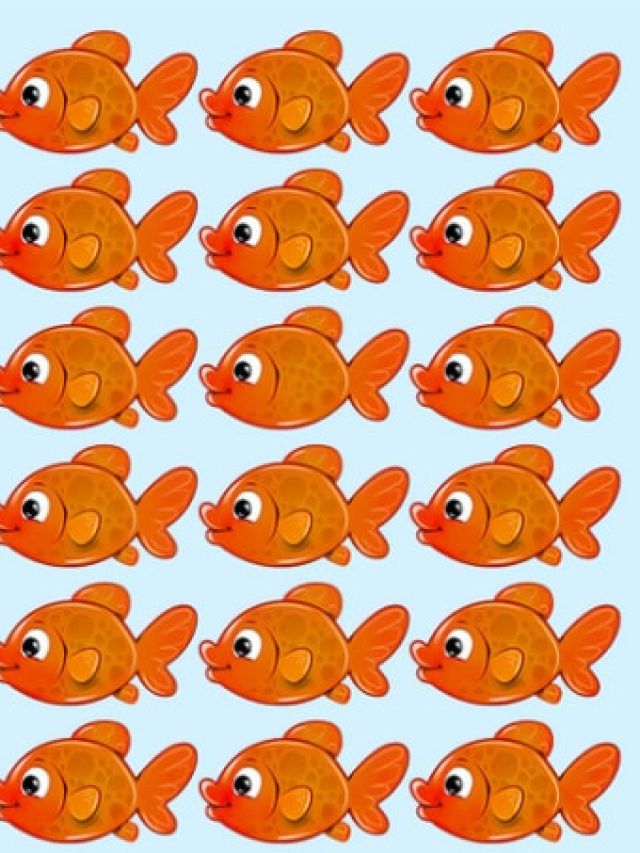 तस्वीर में अलग तरह की मछली  खोज पाएंगे आप, 10 सेकंड का चैलेंज