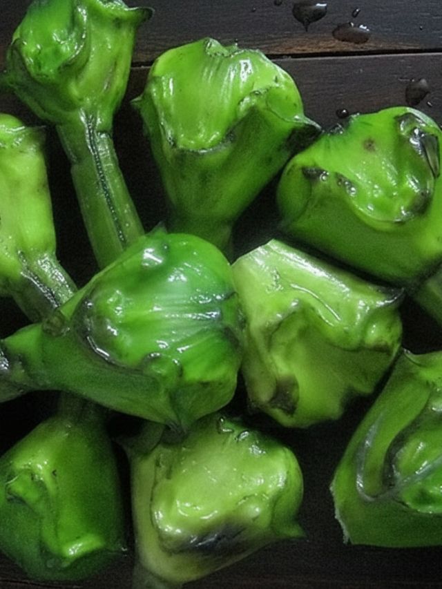 सर्दियों में बढ़ते वजन पर लगाना है ब्रेक, रोज खाएं ये 'चमत्कारी' फल, तेजी से होगा वेट कंट्रोल!