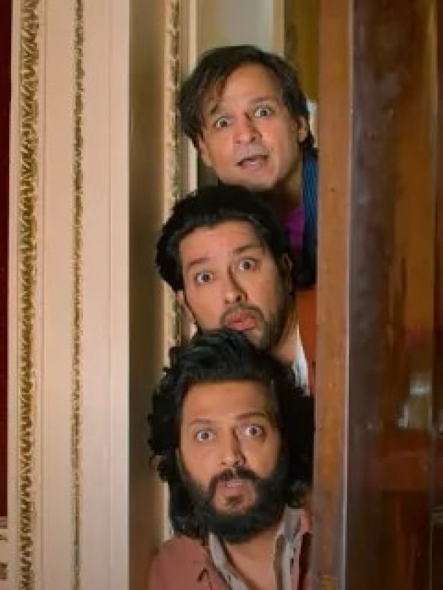 5 adult comedy films to watch before Mastiii 4