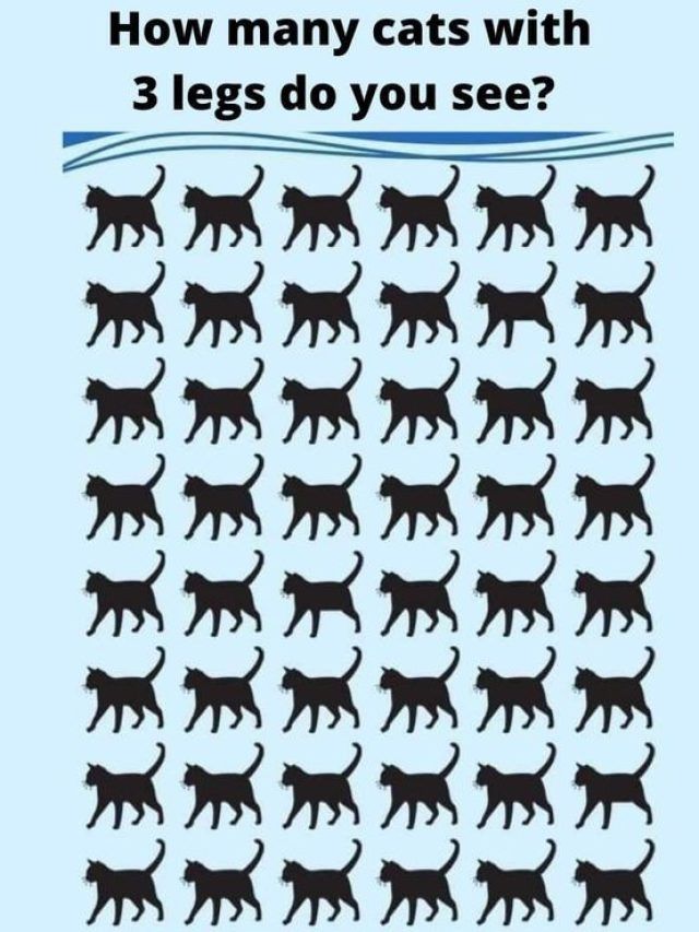 तस्वीर में तीन पैरों वाली बिल्ली खोज पाएंगे, 10 सेकंड का चैलेंज