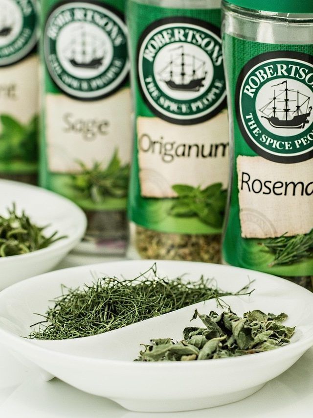 सर्दियों का किचन गार्डन! घर के अंदर लगाएं ये 10 हर्ब