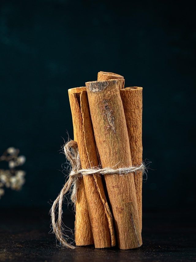 घर पर उगाएं सुगंधित दालचीनी, ये है स्टेप बाय स्टेप तरीका