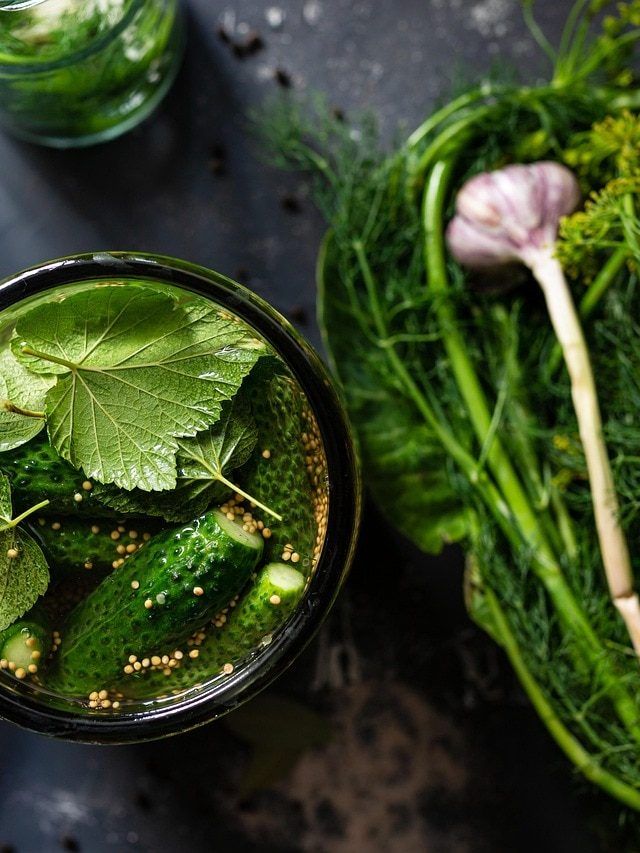 सर्दियों में उगाएं ये 5 पत्तेदार सब्जियां, मिलेगा घर के ताज़े साग का मज़ा