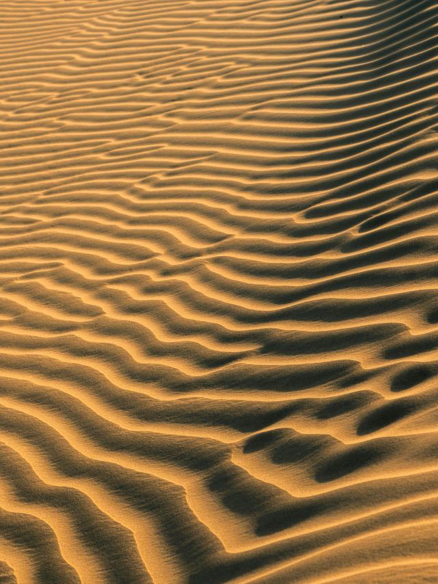 थार के रेगिस्तान में करें अरंडी की खेती, बदलेगी किसानों की किस्मत