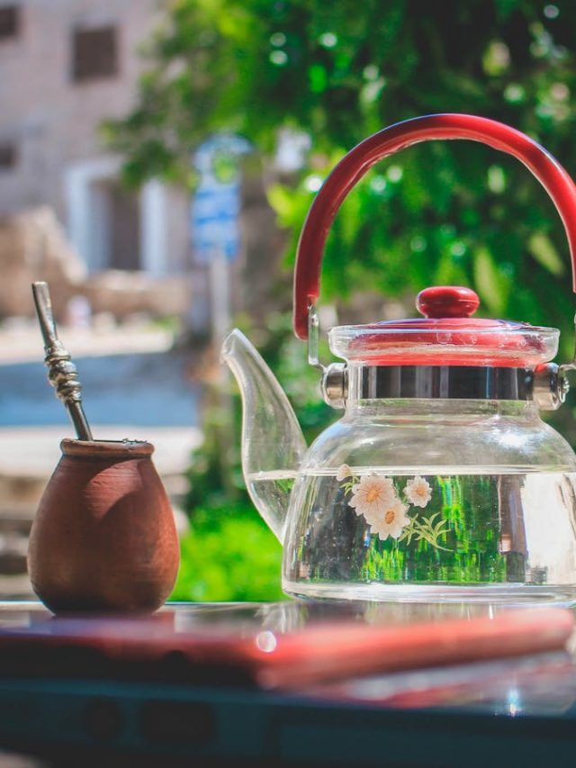 पौधों में डाल दें कूड़े में फिकने वाली ये एक चीज़, हो जाएंगे हरे-भरे