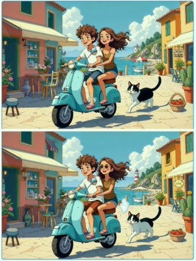 पेंटर ने तस्वीर में कर दी हैं 14 गलतियां, क्या आप लेंगे चैलेंज