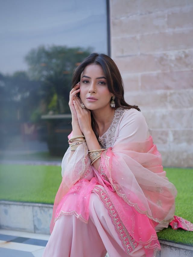 शादी से हटा शहनाज का मन, बॉयफ्रेंड को दे चुकी हैं धोखा, बोलीं- मर्दों का घमंड...