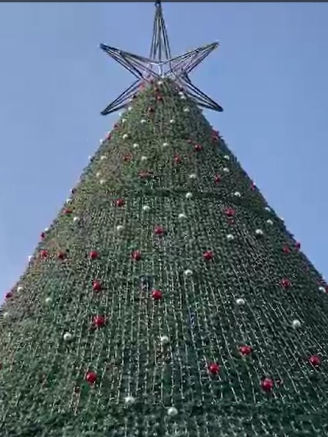 60 फीट से ऊंचा क्रिसमस ट्री, मुंबई के कार्टर रोड पर Christmas की रौनक
