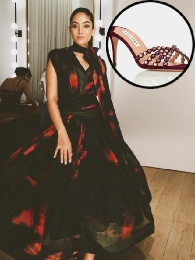 15 हजार की ड्रेस पर 1 लाख से ज्यादा की हील्स पहन मीरा ने दिखाया टशन, छा गया लुक