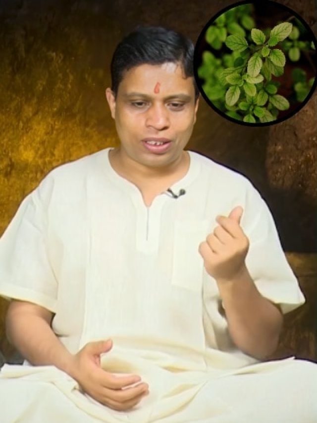 वायरल बुखार से तुरंत पाना चाहते हैं आराम? आचार्य बालकृष्ण का ये नुस्खा रहेगा असरदार