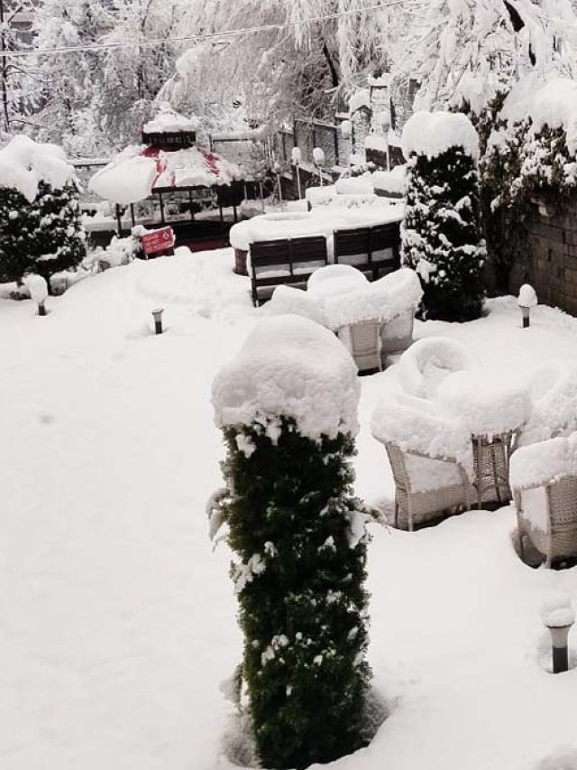 बर्फबारी से पहाड़ों की खूबसूरती में लगे चार-चांद, खिल उठे पर्यटकों के चेहरे!