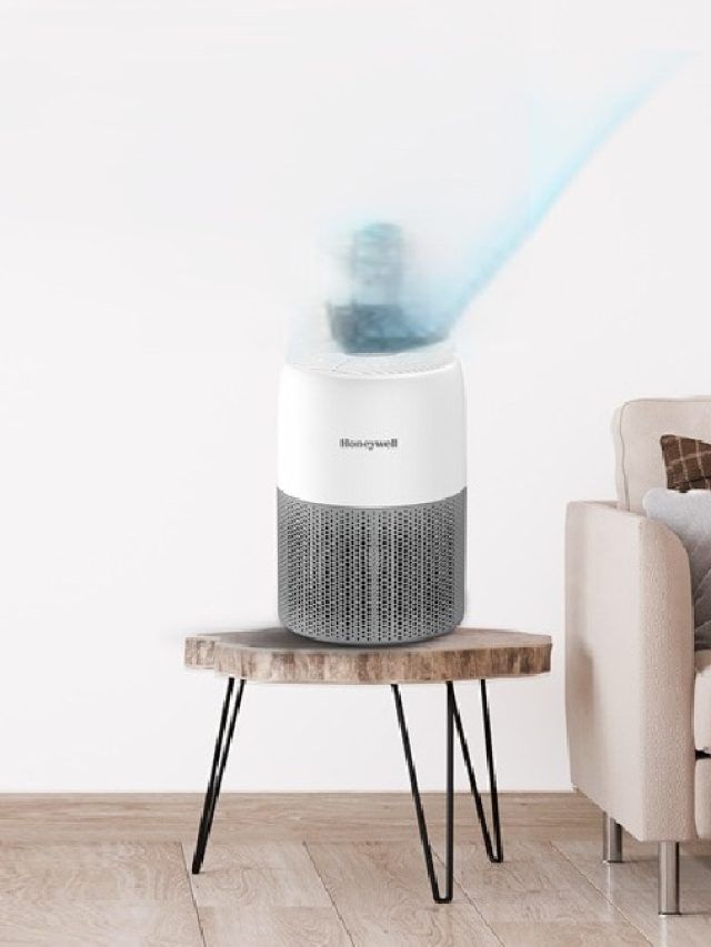 AC के जैसा Air Purifier में भी जरूर करें ये काम, नहीं तो कर देगा बीमार