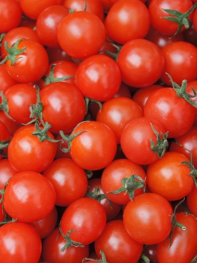 টম্যাটোতে মিশছে রাসায়নিক, কী কী দেখে কিনবেন?