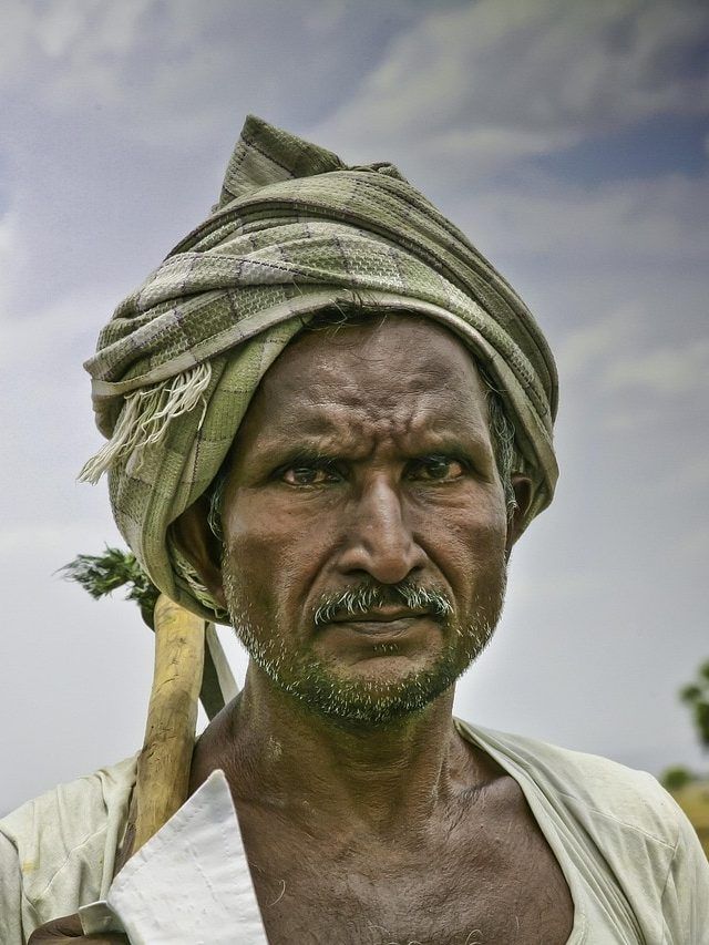 किसान दिवस क्यों मनाया जाता है? जानिए इसके पीछे की कहानी