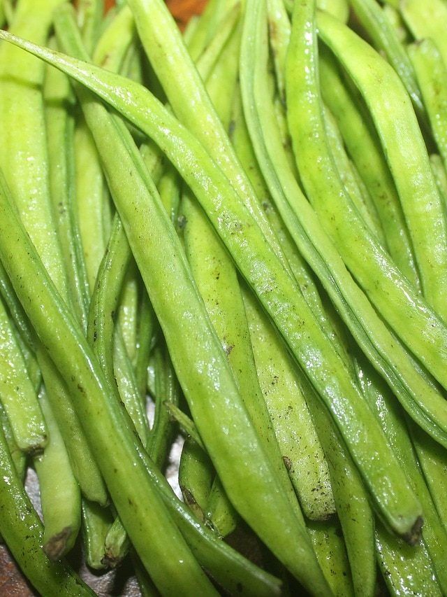 गमले में उगाएं ग्वार की सब्जी, 40 दिन में मिलने लगेंगी हरी फलियां