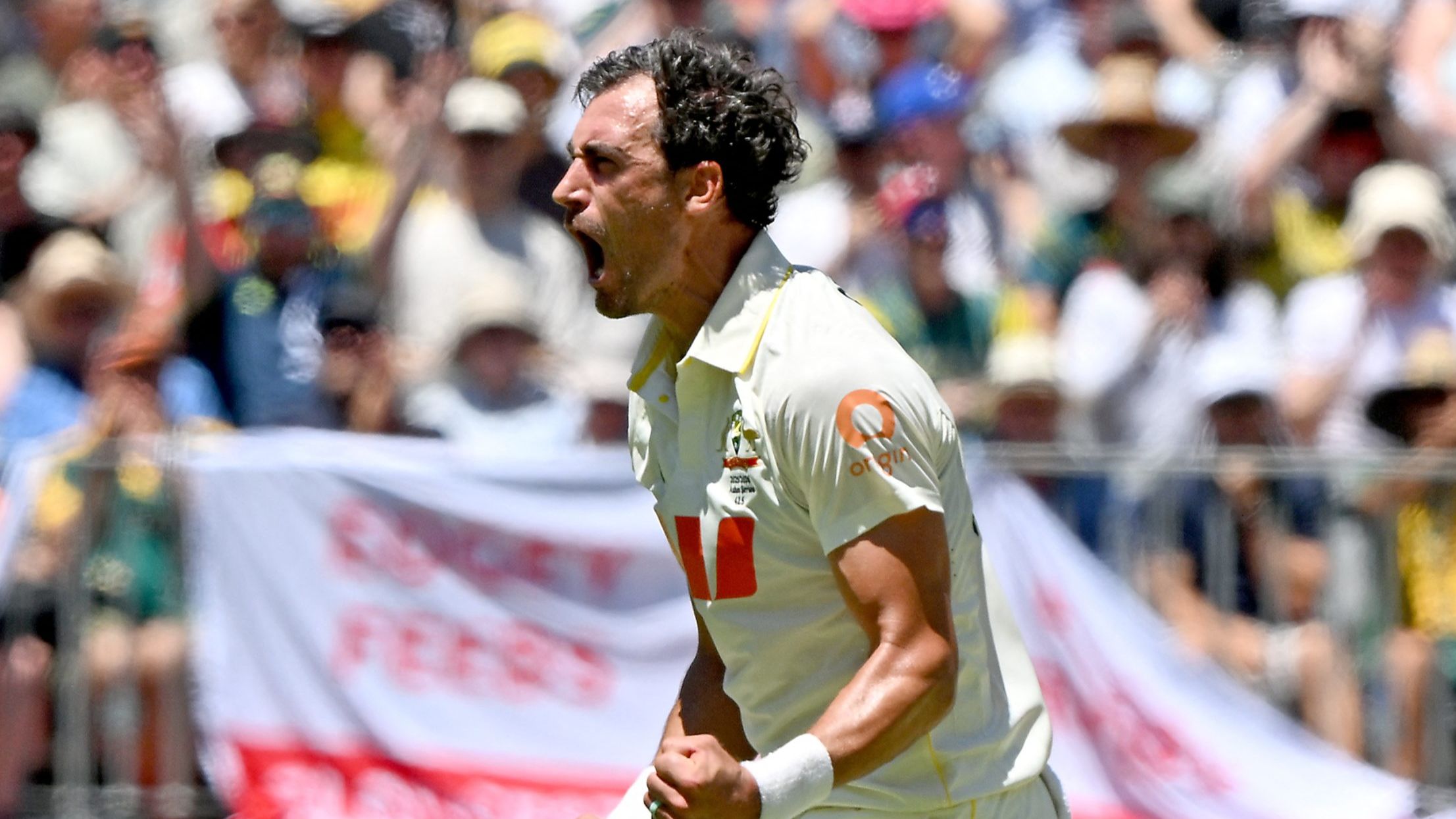 Most wickets by left-arm pacers in Tests