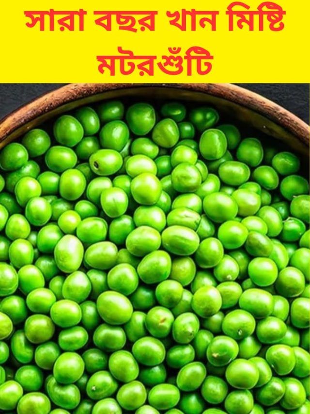 সারা বছর খান মিষ্টি মটরশুঁটি, সংরক্ষণের নিয়মটা জেনে নিন
