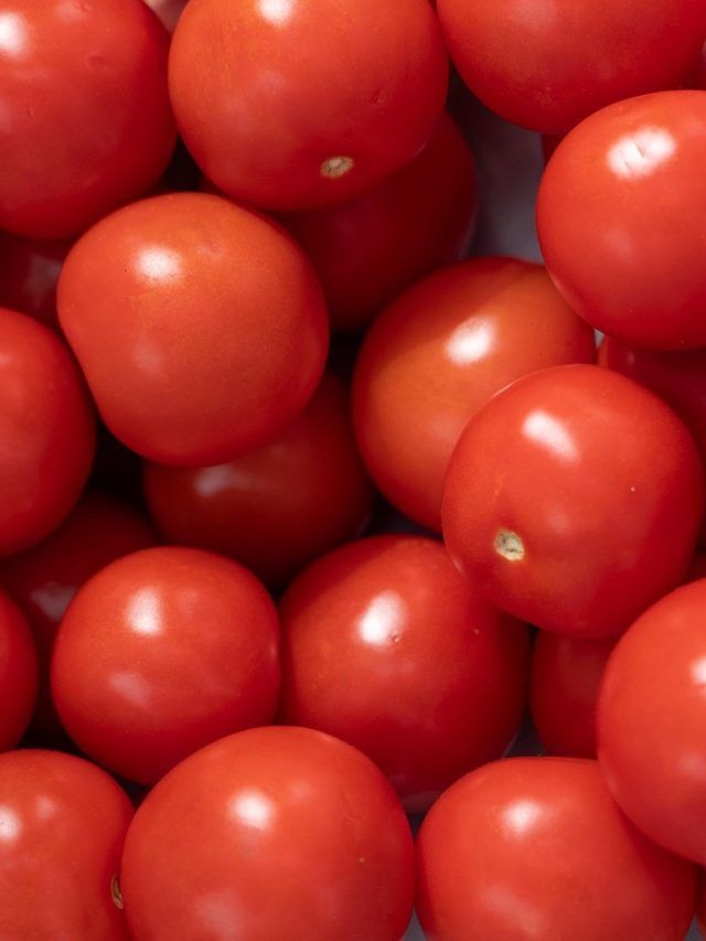 টুকটুকে লাল টম্যাটোতে রাসায়নিক, এই ৩ লক্ষণেই চিনে নিন