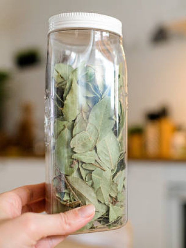 महंगे रूम फ्रेशनर की जगह, रसोई से ले आएं ये एक चीज़