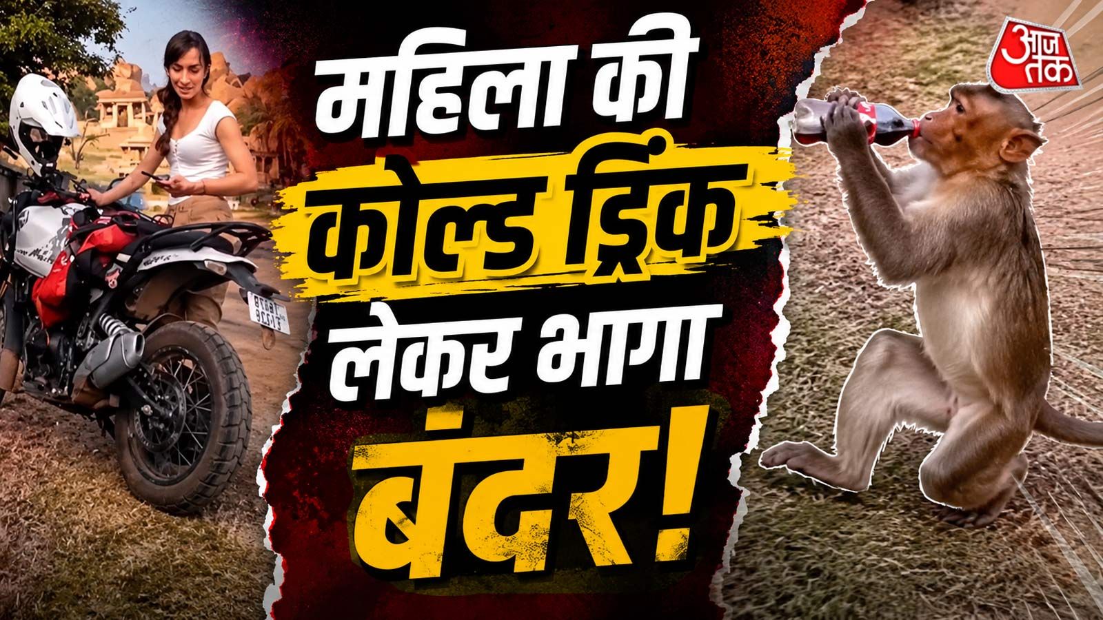 कोल्ड ड्रिंक लेकर भागा बंदर, फिर जो किया उसे देख ल